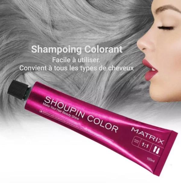 Shampoing Colorant Beauté Produit 